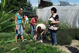 Arbeit im Kräuterhexengarten