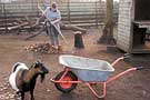 Ehrenamtliche Arbeit im Tierpark